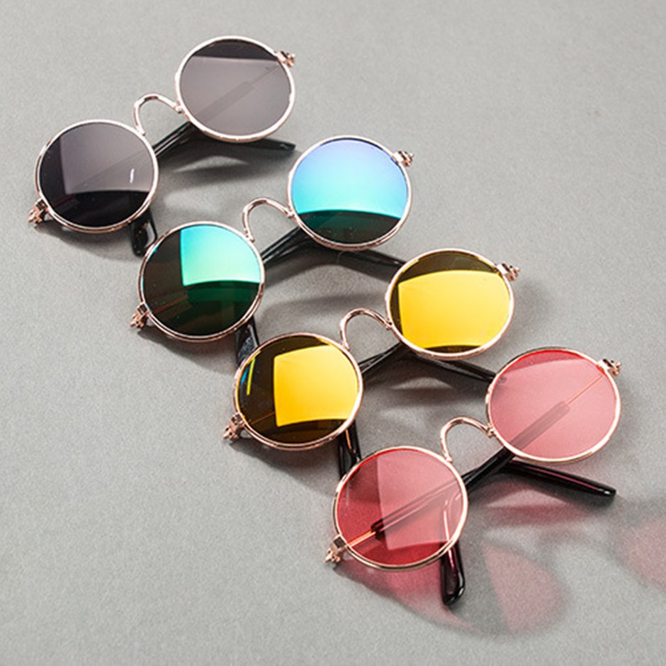 Những con chó thú cưng nhỏ mèo Mèo kính mắt kính mắt