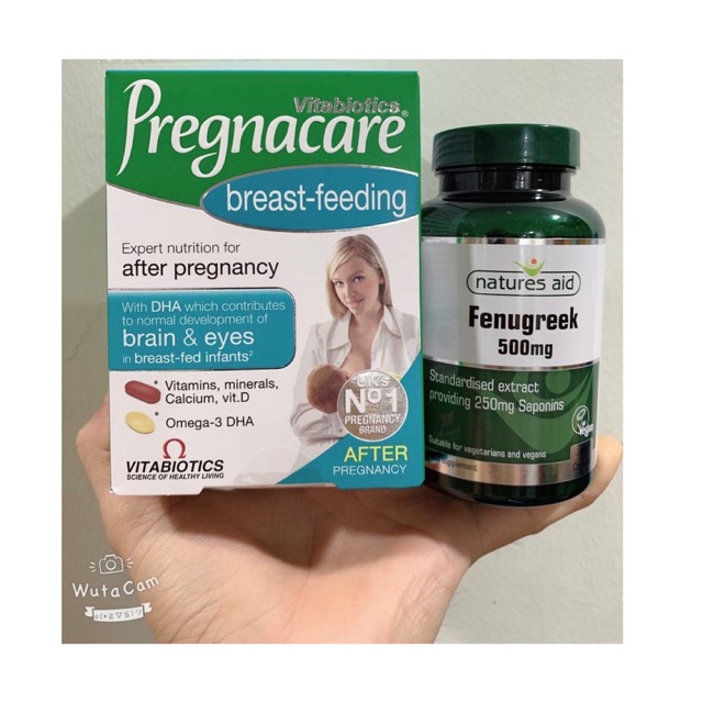 Combo lợi sữa cỏ cà ri Fenugreek và Vitamin bú Anh Pregnacare Breast-feeding