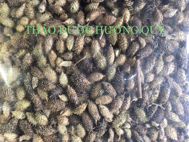 1kg Ké Đầu Ngựa sạch trơn (cam kết khô, sạch, chuẩn chất lượng)