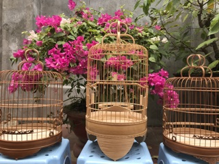 Lồng Khuyên Tách Chỉ Dừa – Nan Đều, Thoáng – Phù Hợp Nuôi & Chơi Chim Khuyên