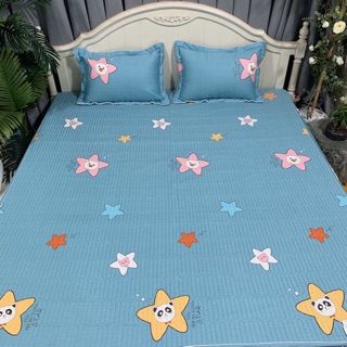 Ga chun trần cotton bambilo