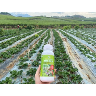 Phân bón cao cấp NANO HLC 01 500ML