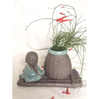 Chậu trồng cây chú tiểu, Giỏ trồng cây siêu đẹp TC020
