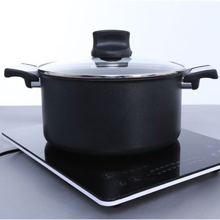 Nồi 2 quai Tefal C6204672 24cm