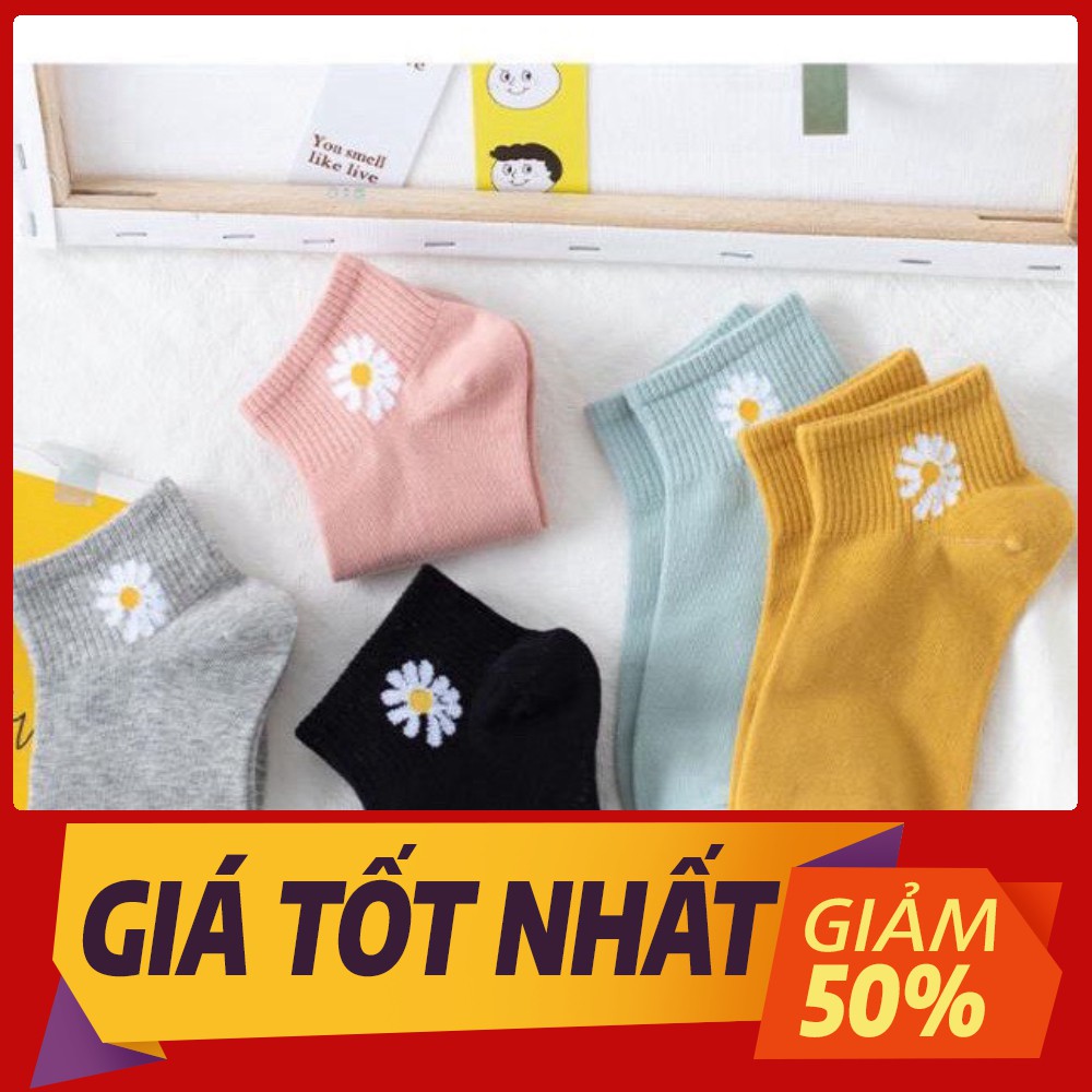 [Sale toàn shop]combo 10đôi TẤT VỚ NAM NỮ MANG GIÀY CỔ TRỤ HOA CÚC 300 SIÊU DỄ THƯƠNG