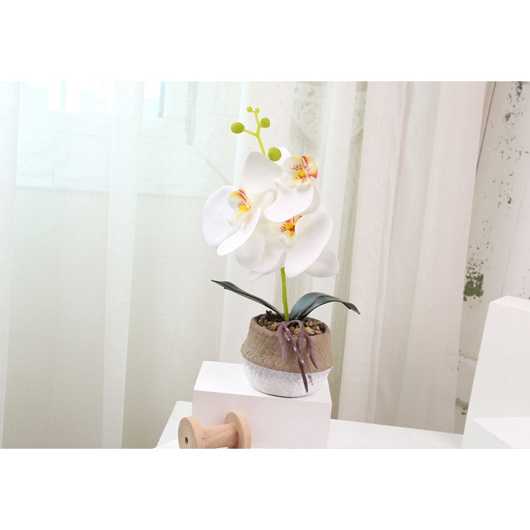 Hoa giả trang trí để bàn KHALIK HF024, Chậu hoa LAN đẹp
