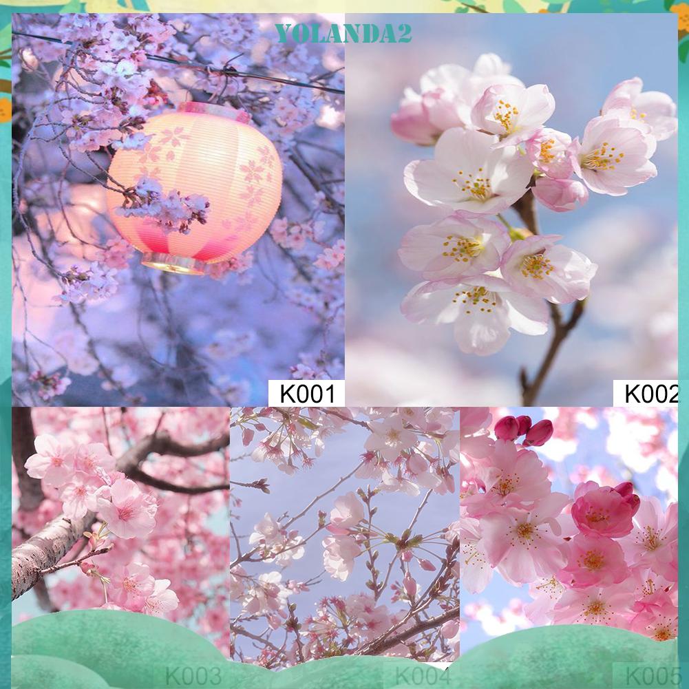 Bộ Tranh Đính Đá 5D Tự Làm Hình Hoa Anh Đào Xinh Xắn