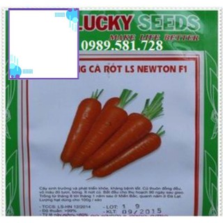 Hạt giống cà rốt nhiều màu -daothikieuhao