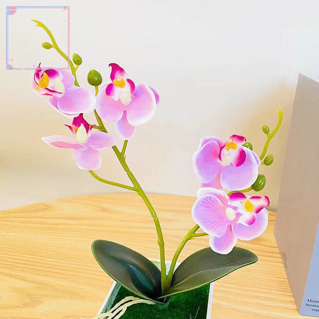 1 Bộ Chậu Cây Hoa Lan Giả Chống Mòn Dùng Trang Trí