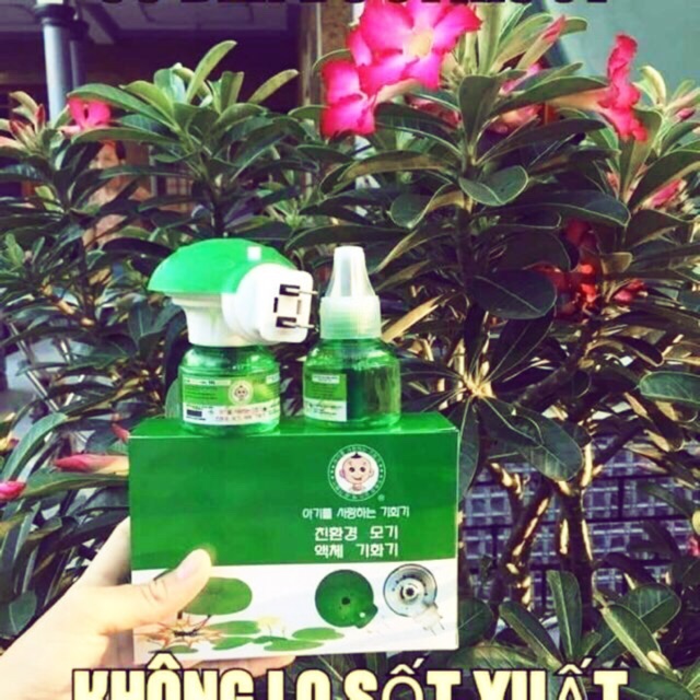 Sỉ- Combo 1 củ , 2 tinh dầu ĐÈN ĐUỔI MUỖI TINH DẦU THIÊN NHIÊN HÀN QUỐC CHÍNH HÃNG.