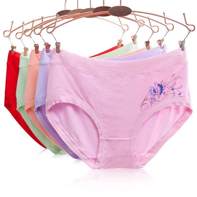 COMBO 10quan lót cotton nữ form to 169#