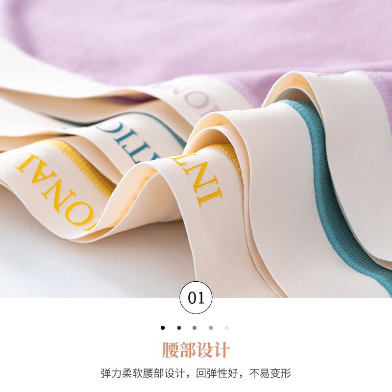 Quần lót nữ cotton trơn màu cao cấp kháng khuẩn cạp chữ INTERNATION 216