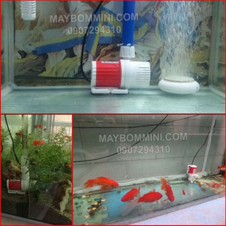 BỘ MÁY BƠM CHÌM, BƠM HỒ CÁ HÒN NON BỘ