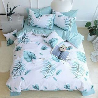 Bộ chăn ga gối cotton