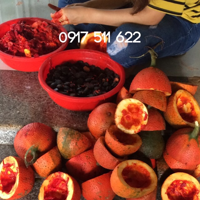 Phôi son dưỡng gấc 1kg 700k