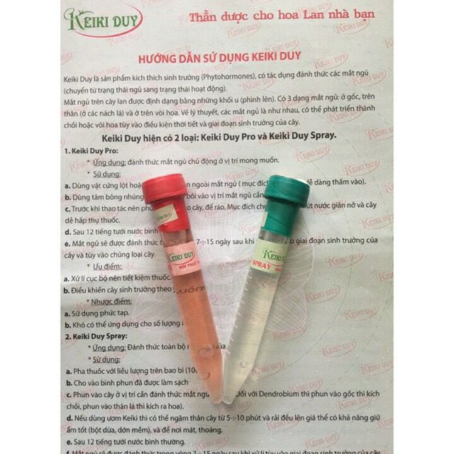 Combo Keiki Duy đỏ và Duy xanh