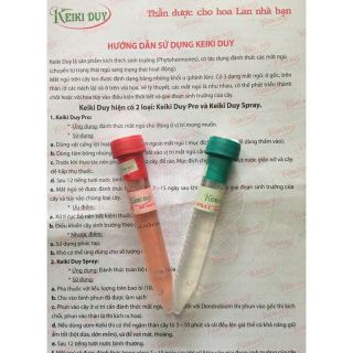 Combo Keiki Duy đỏ và Duy xanh