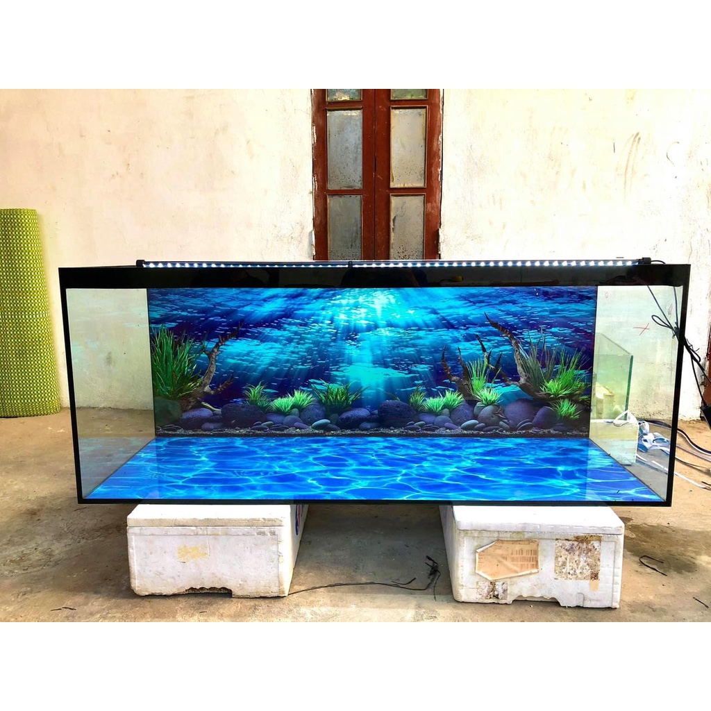 tranh 3d. tranh dán bể cá thủy sinh, bể cá rồng (tranh lưng)