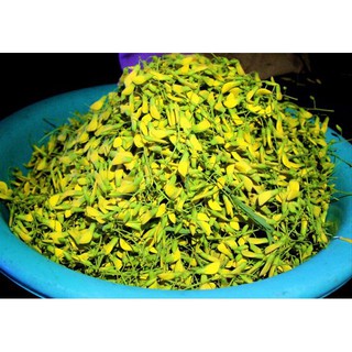 Hạt Giống Hoa Điên Điển (Sesbania sesban) 1Gram