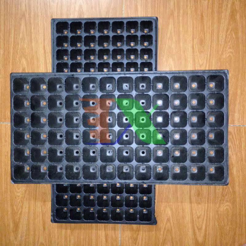 Thùng 150 Khay nhựa ươm cây 72 lỗ, Vỉ ươm hạt giống, Khay nhựa PVC ươm hạt rau hoa