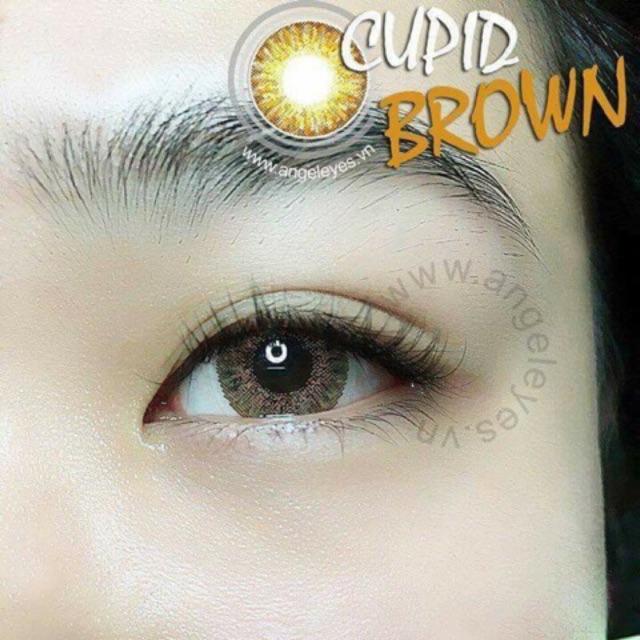 Kính áp tròng Silicon Hydrogel  Cupid Brown Gray được 24h HSD 6 tháng