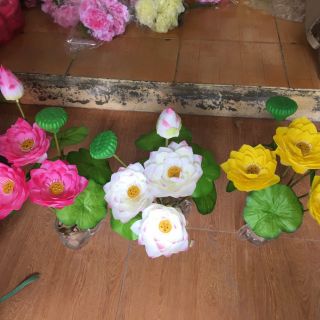 Cụm sen vải. 25k