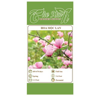 Hạt giống hoa mộc lan The Xanh Garden Supply
