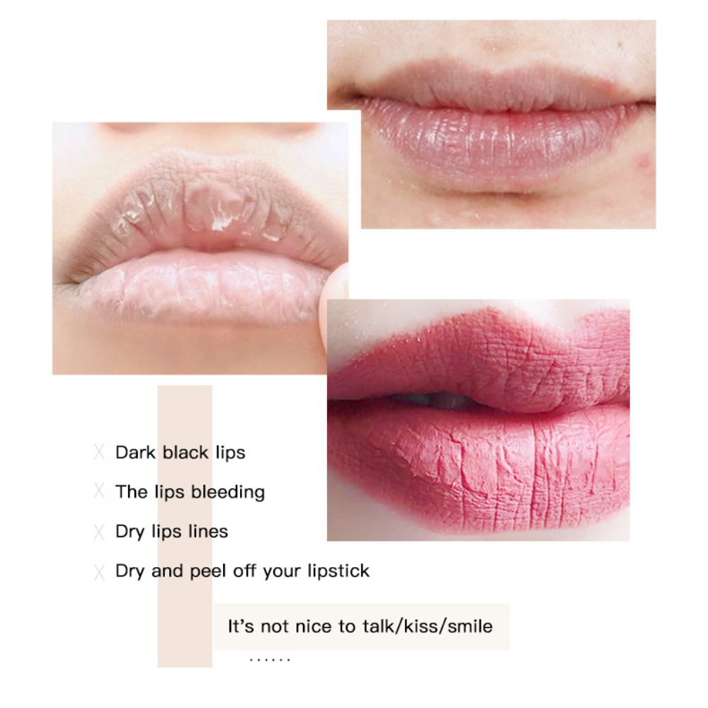 【Ready Stock】 1pc New Lipstick   Lady Lip Moisturizer Jelly Balm Cream Moisturizing Long Lasting Lip Stick Make 【queen2019】