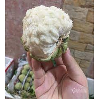 Cây Giống Na dai Đồng Bành