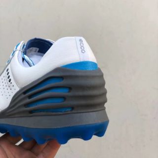 Giày ecco golf