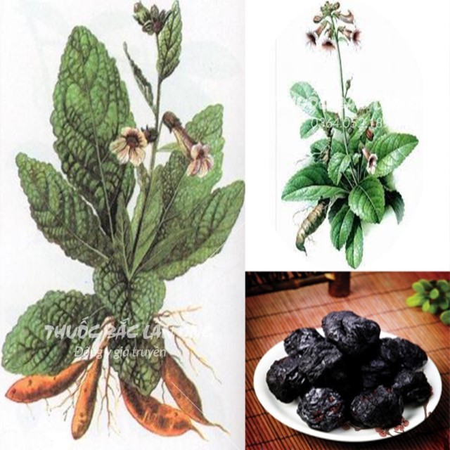 Thục địa 200g