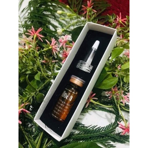 Noãn thực vật [𝐁𝐀́𝐍 𝐂𝐇𝐀̣𝐘 𝐍𝐇𝐀̂́𝐓] noãn cấp ẩm.serum dưỡng da