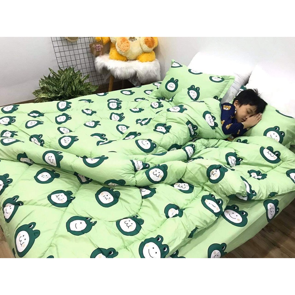 Trọn Bộ Chăn Phao Ga Gối Poly 5 Món Đẹp Mê Ly 1 Ga 2 Vỏ Gối 1 Chăn Phao 1 Gối Ôm hcm