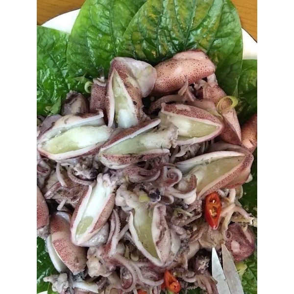 Mực trứng trắng chuẩn ngon