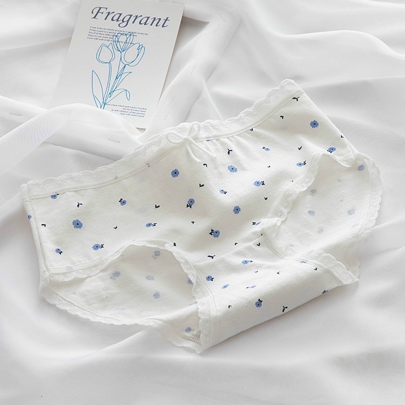 QUẦN LÓT COTTON ❤️ PHỐI NƠ VIỀN REN MS 335
