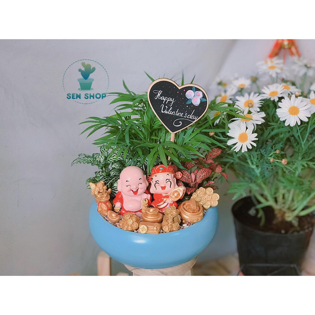 Cau tiểu trâm, may mắn, tài lộc .