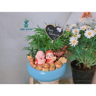 Cau tiểu trâm, may mắn, tài lộc .