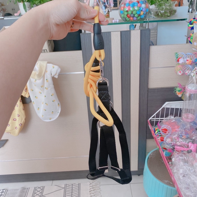 DÂY DẮT yếm 1.5cm cho chó mèo lớn