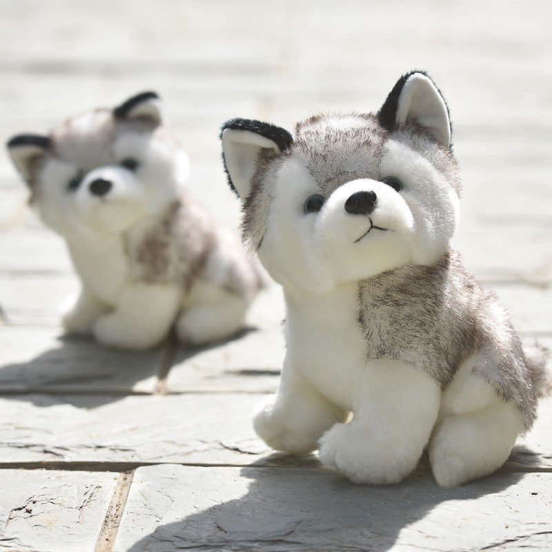 Chó Husky nhồi bông 30cm