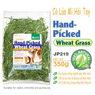 Cỏ Lúa Mì jolly 350gr