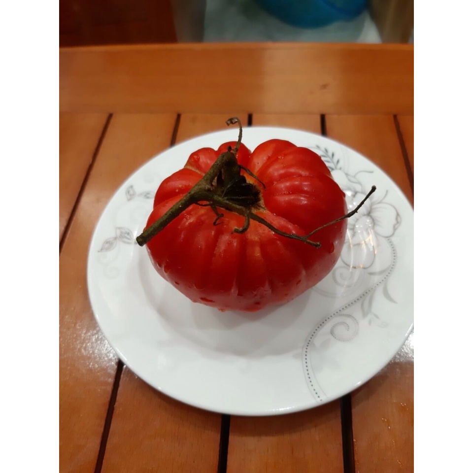 Hạt giống Cà chua hữu cơ nhập khẩu Châu âu - Minigarden - "Cuor di bue"