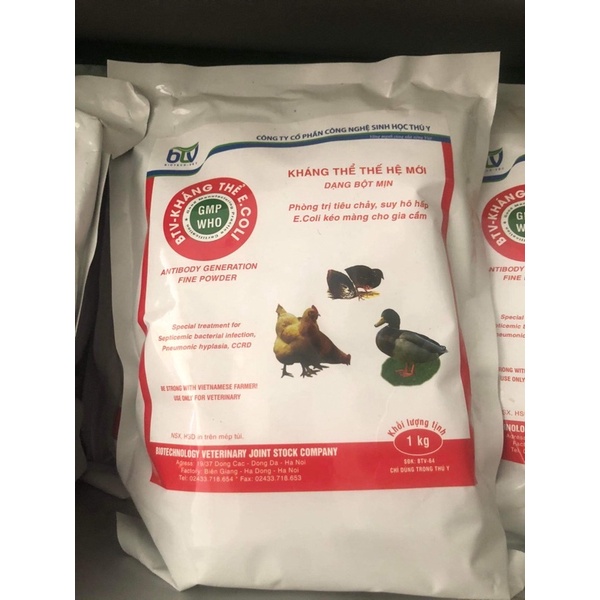 Kháng thể E.coli gia cầm