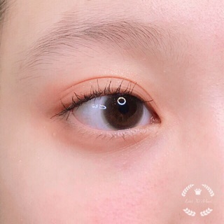 Lens Mắt Màu Xám Giãn Nhỏ Mini Ring Có Cận