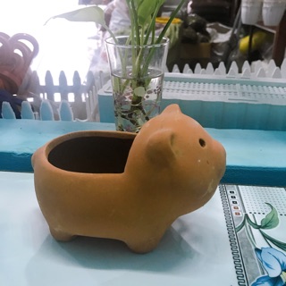 Chậu đất nung hình chú heo