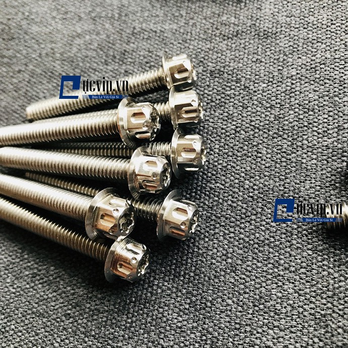 Exciter 135 - Bộ Ốc Máy Salaya Dành Cho Exciter 135