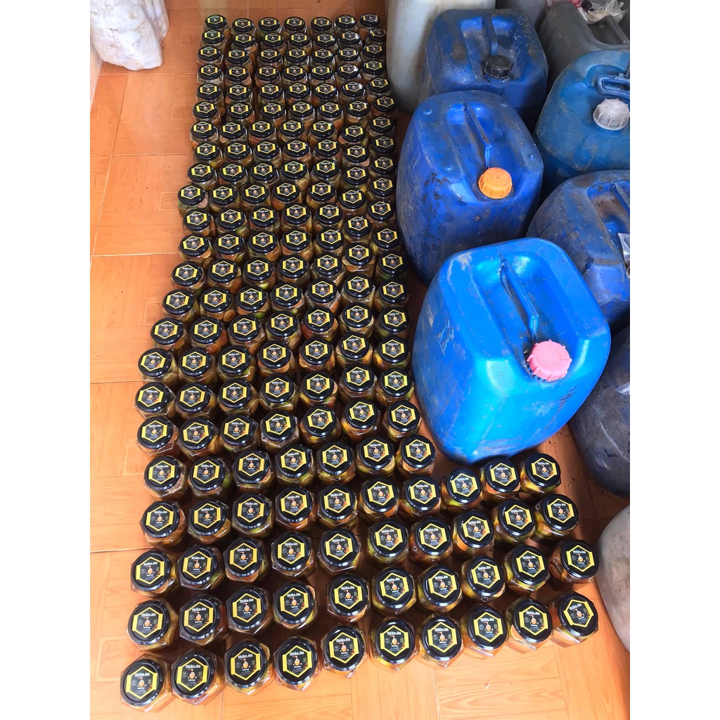 Mật Ong Rừng ngâm Gừng- Tỏi- Chanh Đào- Hoa Đu Đủ Đực (500ml)- hũ thủy tinh