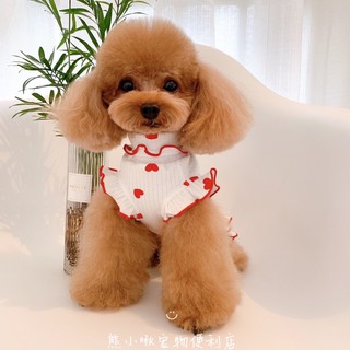 Áo lọ cho chó mèo