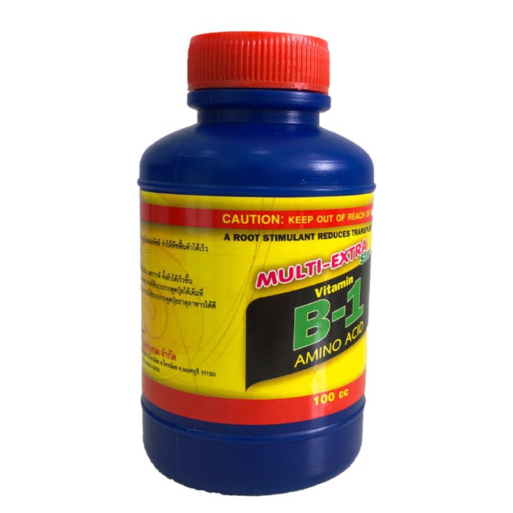 Vitamin B1 Thái Lan 100ml