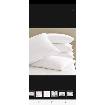 Gối hơi  gòn bi 40x60;50x70