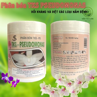 Phân bón TKS PSEUDOMONAS đối kháng và diệt các loại nấm bệnh hộp 1kg